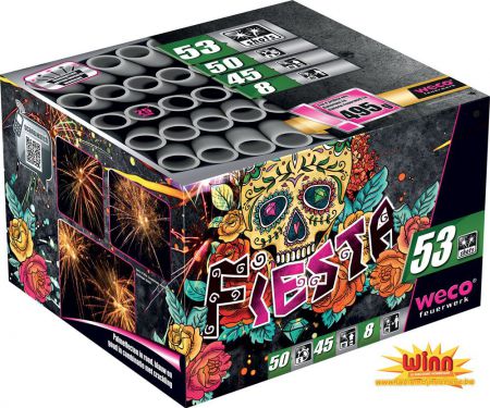 batterie weco fiesta winn 