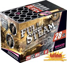 350103 32 2020 full steam weco feu artifice 