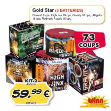 kit 2 gold star 5 batteries 